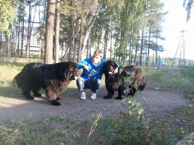 Фотография № 101209