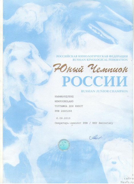 Фото: Svetlana Fedorova (Светлана Федорова), ньюфаундленд Toptyijka Don Kihot (Топтыжка Дон Кихот)