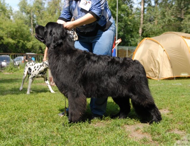 Фотография № 101213