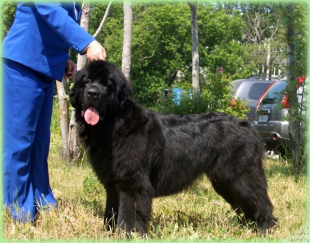 Фотография № 101230