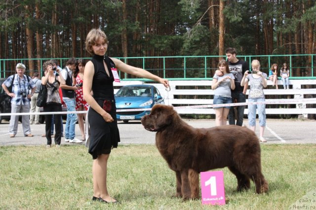 Фотография № 101236