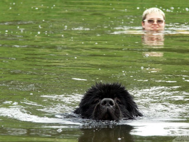 Фотография № 101312