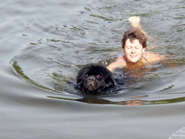 Фотография № 101314