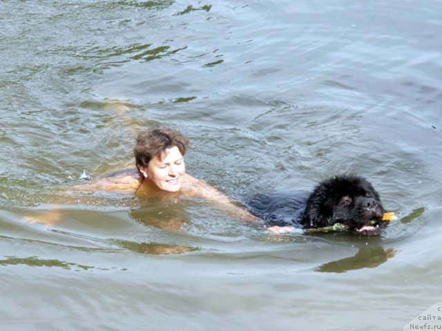 Фотография № 101315