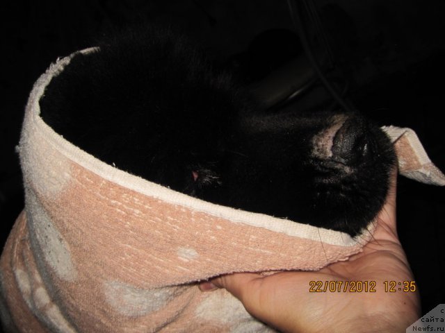 Фото: Леся (Валенсия)