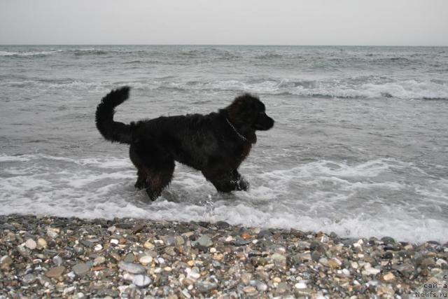 Фотография № 10145