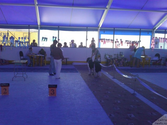 Фотография № 101478