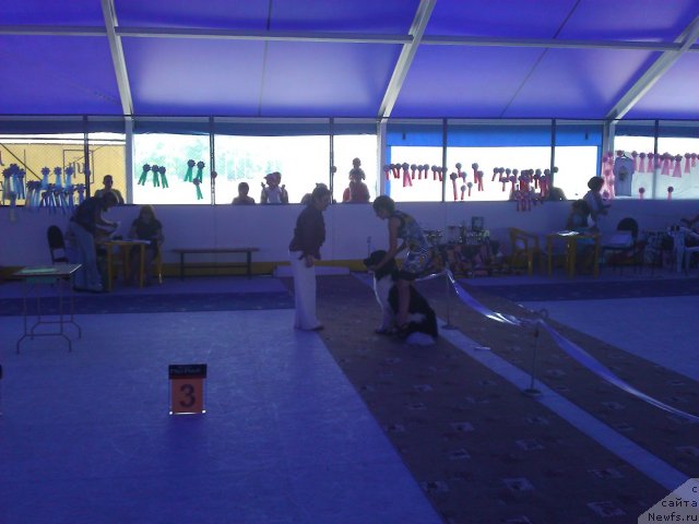 Фотография № 101479