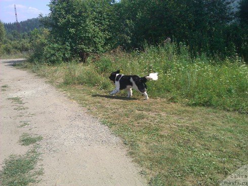 Фотография № 101480