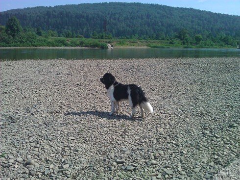 Фотография № 101481