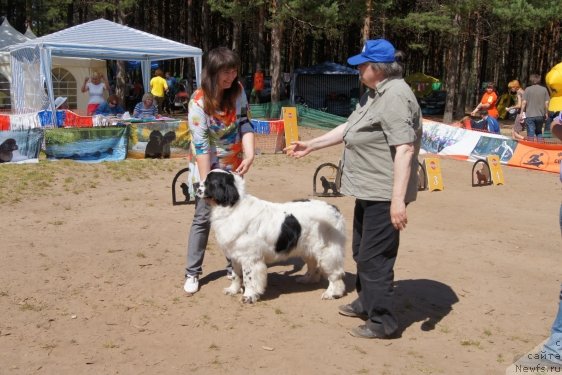 Фотография № 101519