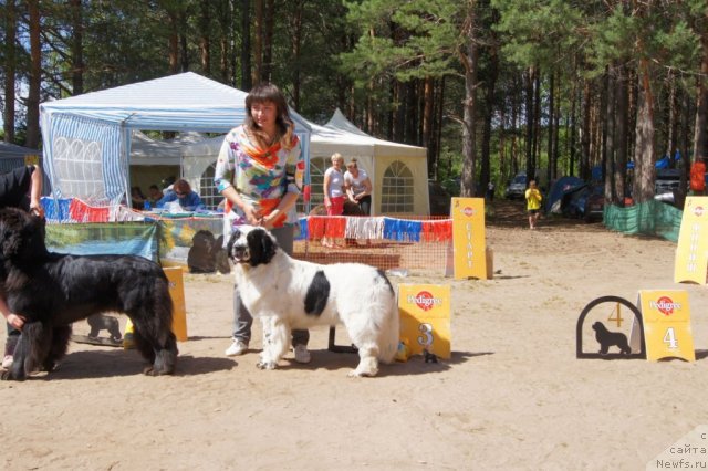 Фотография № 101520