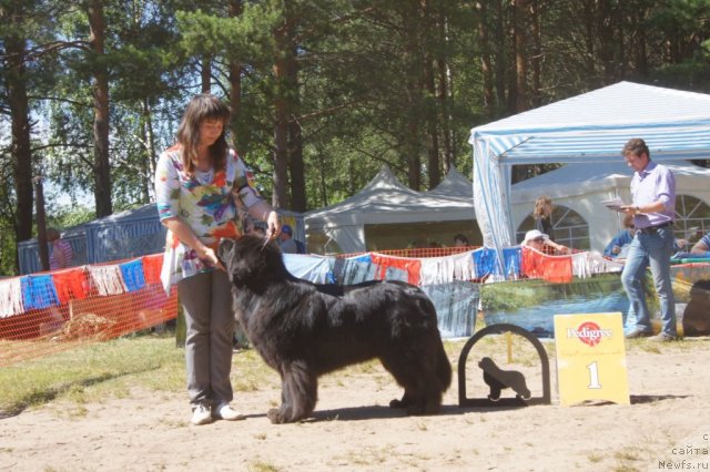 Фотография № 101521