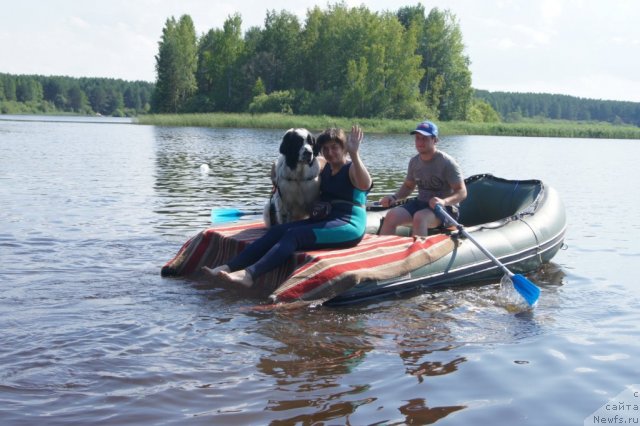 Фотография № 101528