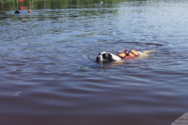 Фотография № 101530