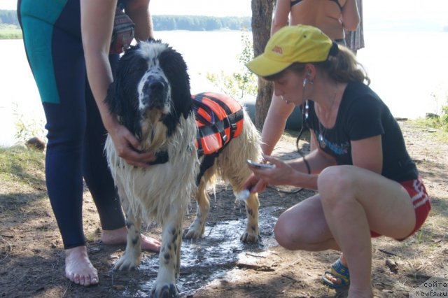 Фотография № 101531