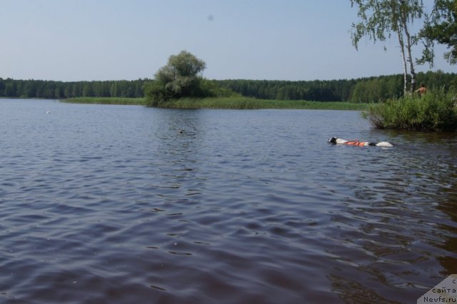 Фотография № 101532