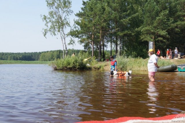 Фотография № 101533