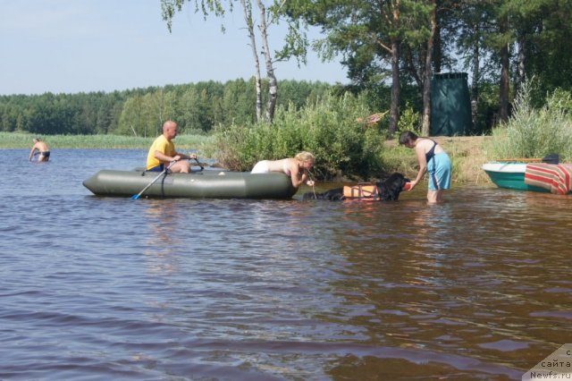 Фотография № 101537