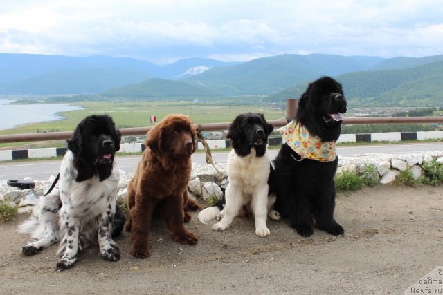 Фотография № 101560