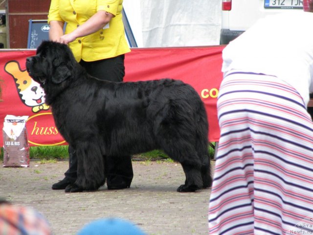 Фотография № 101657