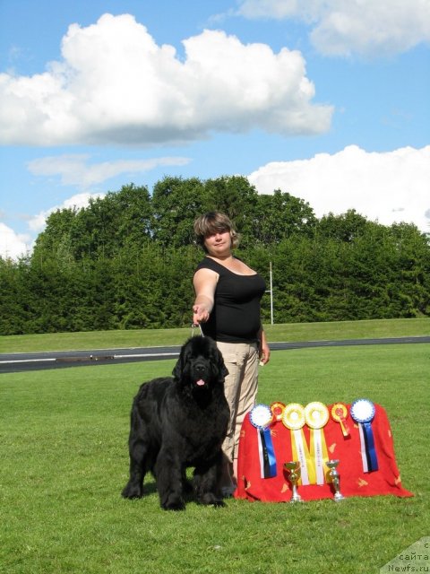 Фотография № 101659