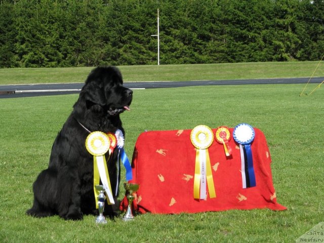 Фотография № 101660