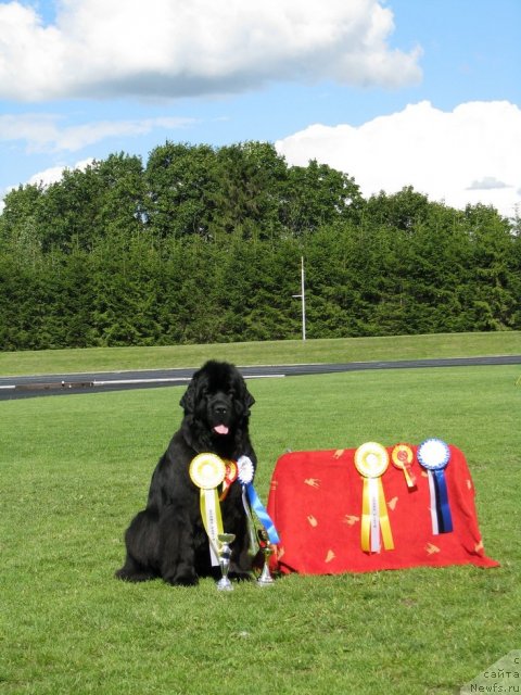 Фотография № 101661