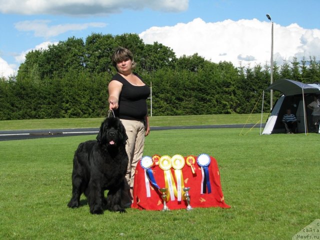 Фотография № 101662