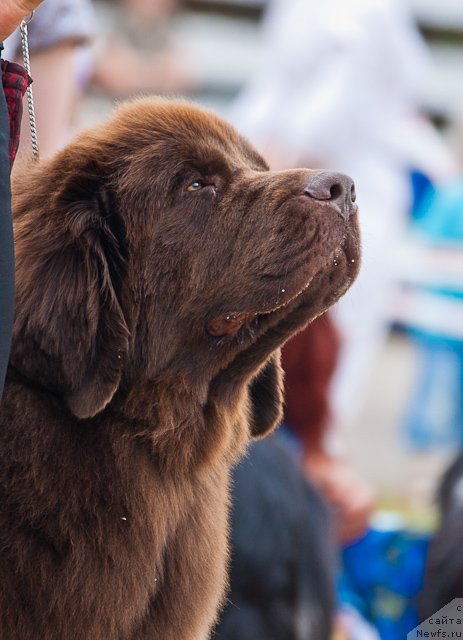 Фотография № 101730