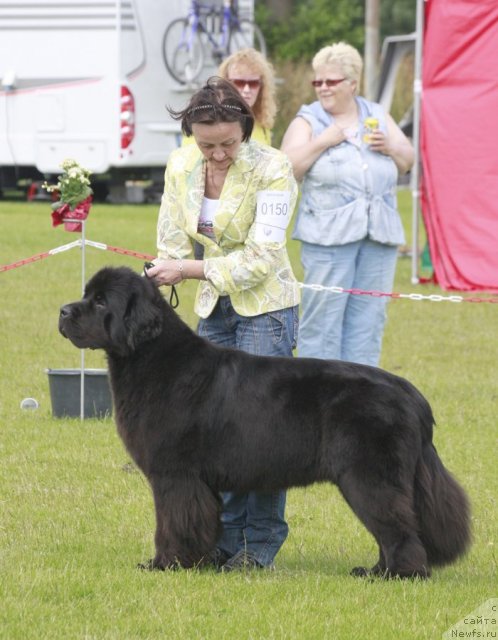 Фотография № 101747