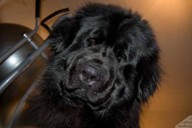 Фотография № 10175