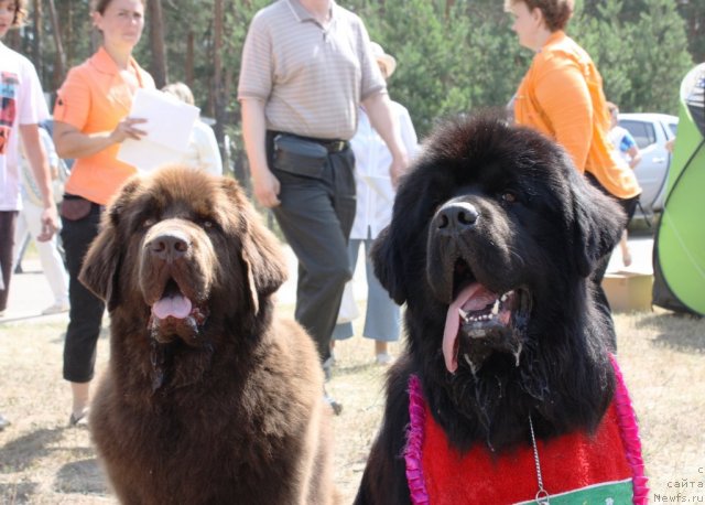 Фотография № 101768