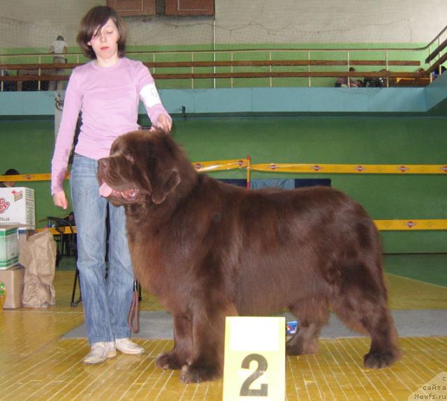 Фотография № 10188