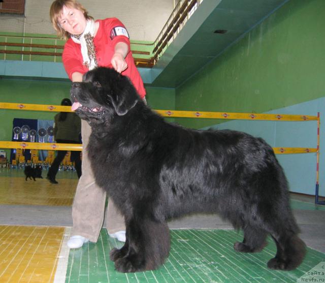 Фотография № 10189