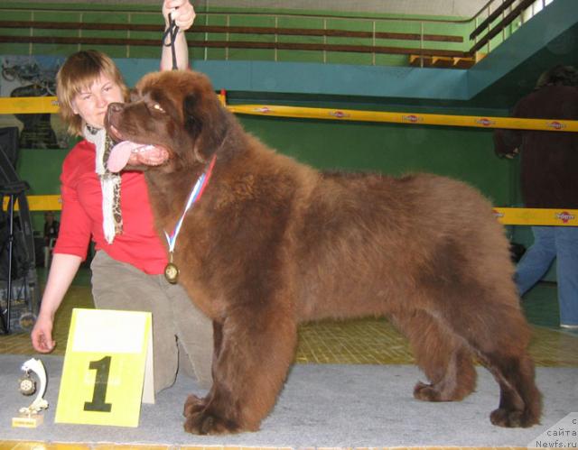 Фотография № 10193