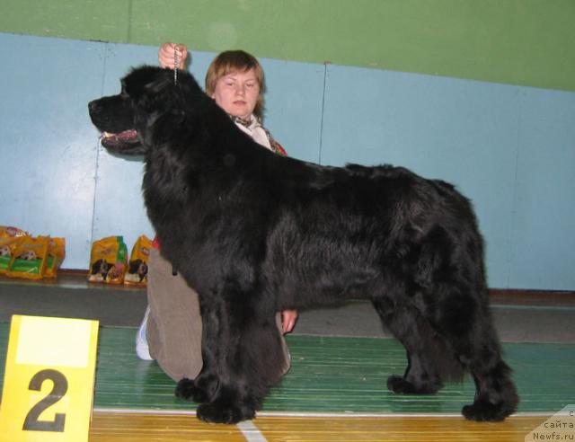 Фотография № 10196