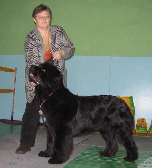 Фотография № 10198