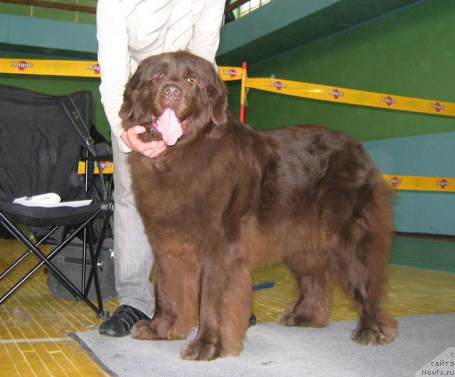 Фотография № 10200