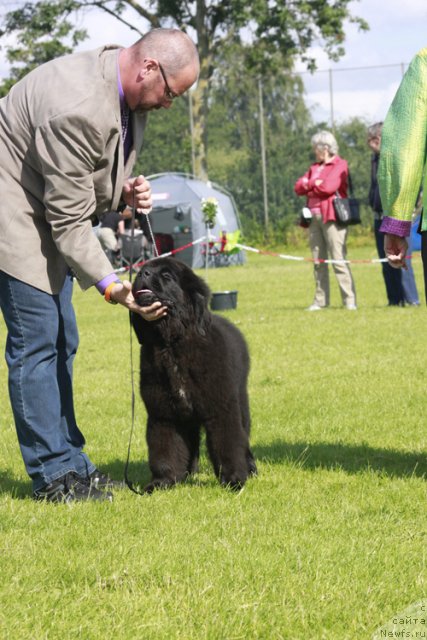 Фотография № 102021