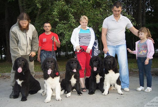 Фотография № 102026