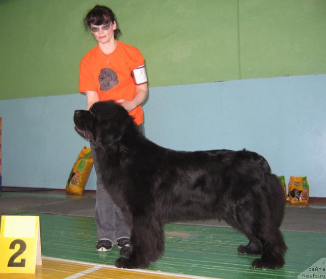 Фотография № 10203