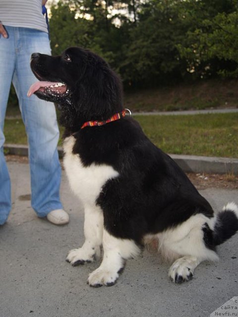 Фотография № 102039