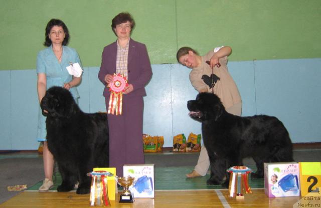 Фотография № 10205