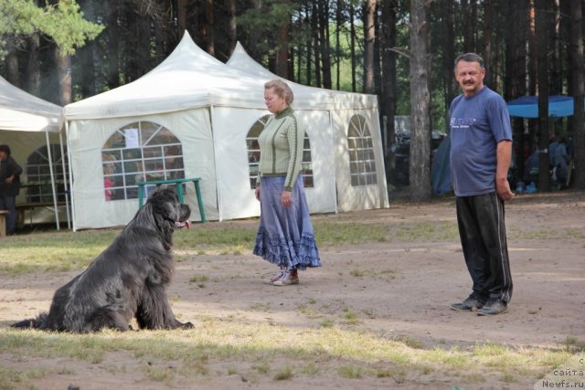 Фотография № 102106