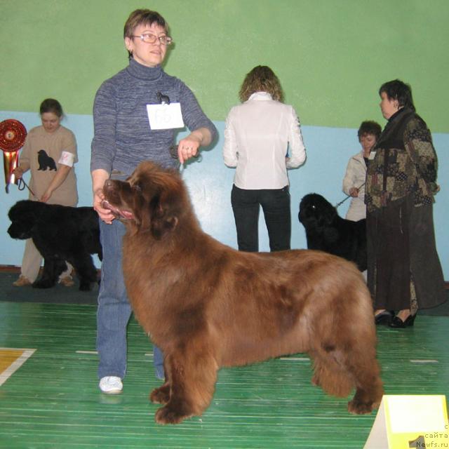 Фотография № 10211