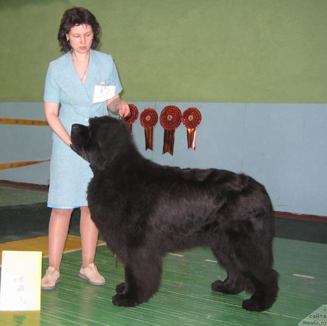 Фотография № 10213