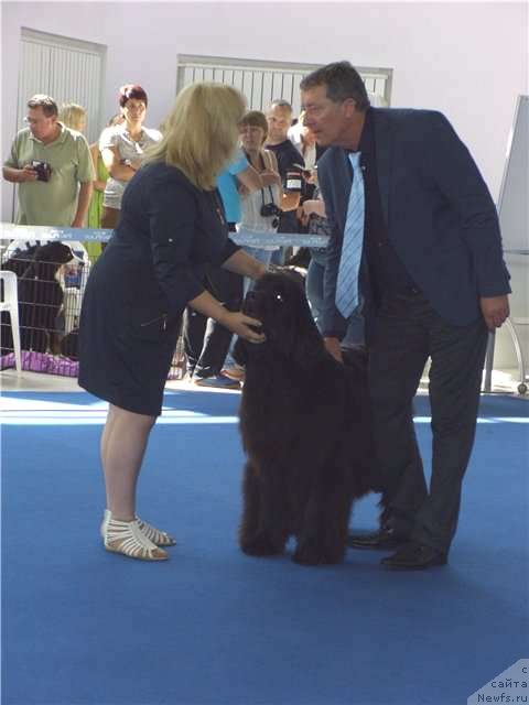 Фотография № 102169