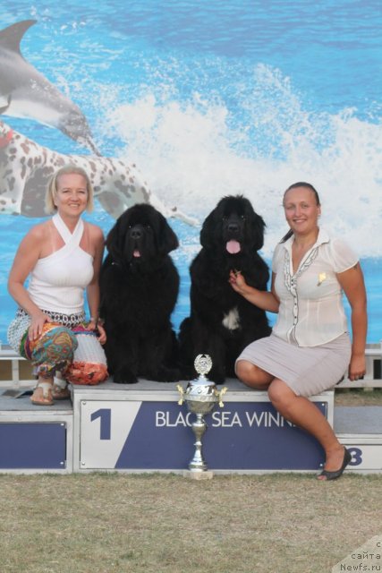 Фото: ньюфаундленд Beguschaya po Volnam Zodiak (Бегущая по Волнам Зодиак), ньюфаундленд Velyke Malyatko Yaskrava Usmishka