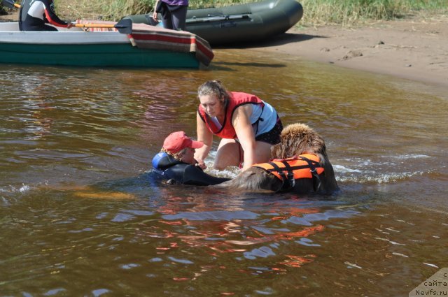 Фото: Екатерина Плотников[p1318]